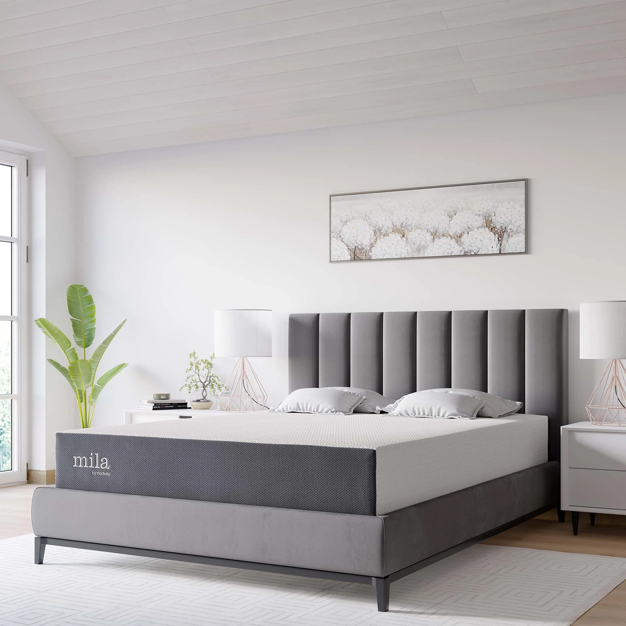 Product image 181